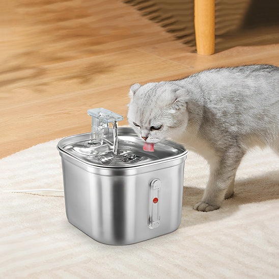 fontaine-a-eau-pour-chat-detection